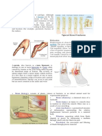 Fracture Osteoporosis: Dislocation