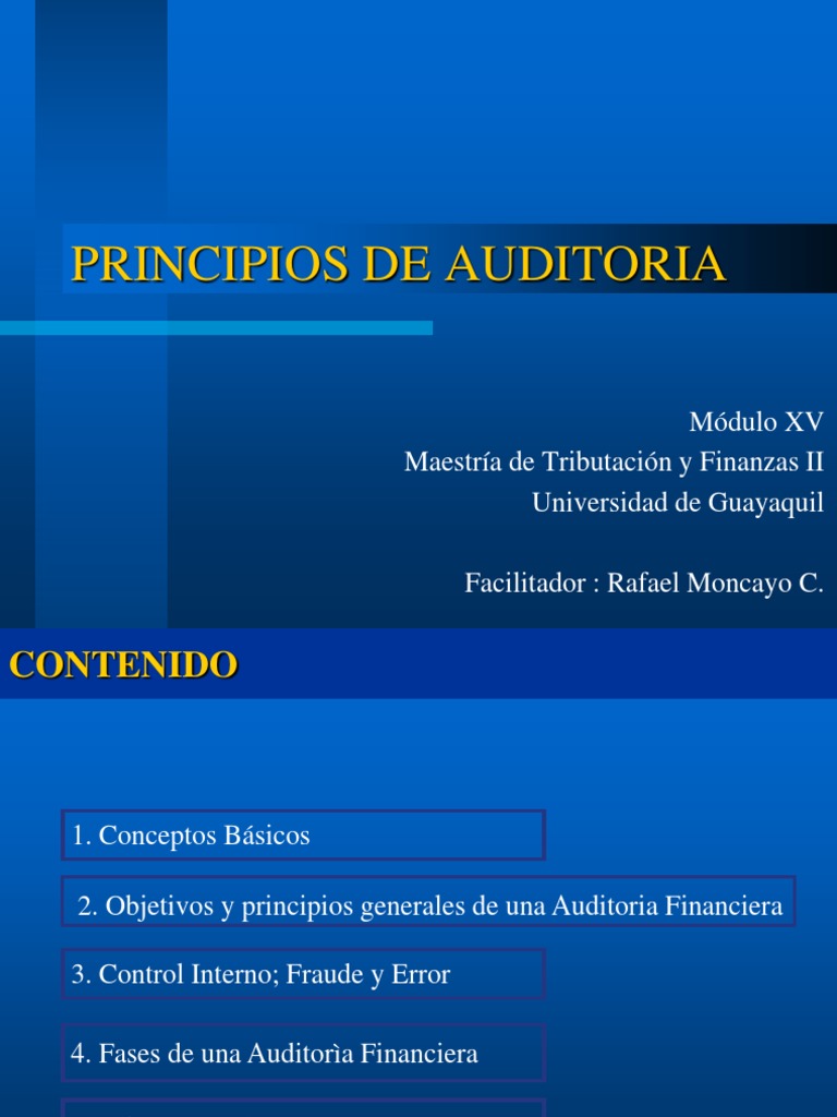 Principios De Auditoria Pdf Normas Internacionales De Informacion