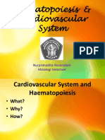 Histology of Haematopoietic and Cardiovascular System Sa