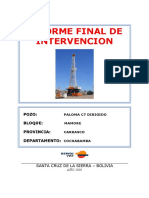 Informe Final Workover PLM-C7