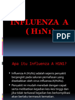 Cara Mencegah dan Rawatan Influenza A (H1N1