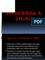 Influenza A (H1N1)