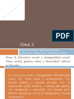 Tema 3 Estructura Social y Desigualdad Social.