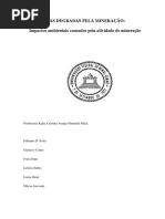 Seminário-Impactos Ambientais Causados Pela Atividade de Mineração_TB
