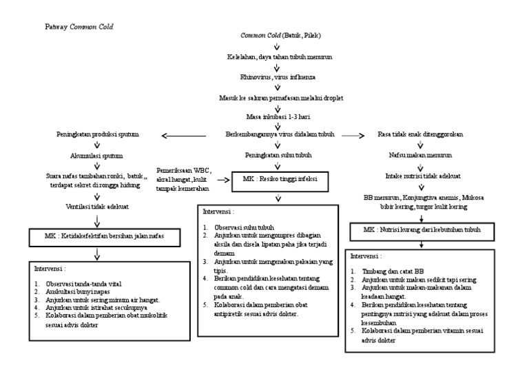 Patway Penanganan Common Cold | PDF