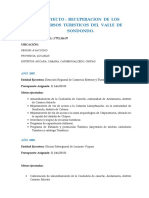 INFORME_SONDONDO proy