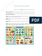 Clasificación de Plantas Según Su Parte Comestible