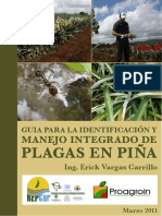 Guia Manejo de plagas en pina.pdf