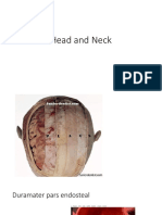 Head and Neck Overview SCALP Duramater and Vaskularisasi New