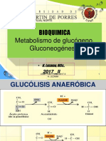 Bq 17 Chi 4 Glucogeno Heli