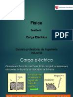 carga_electrica