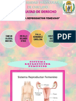 sitema-femenino-bio.pptx