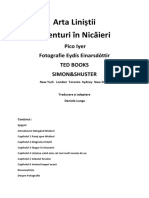 Arta Liniștii. Aventuri în Nicăieri. Pico Iyer. Traducere Daniela Lungu.