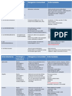 Bacterias Microbiología