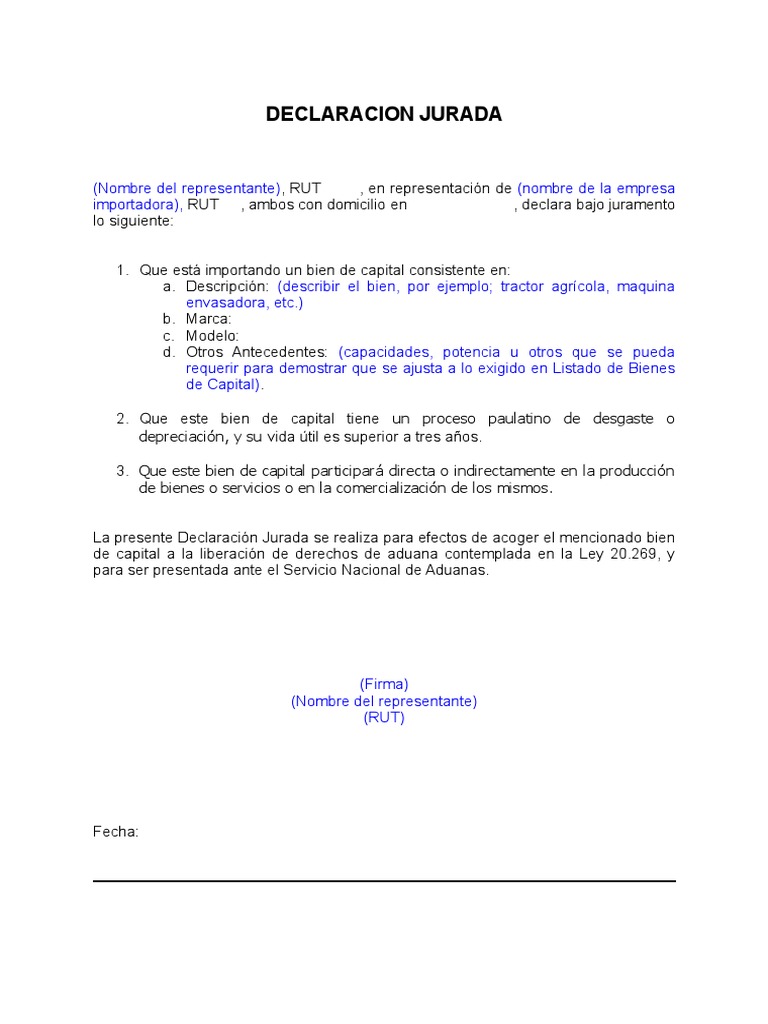 Declaración Jurada de Bienes de Capital | PDF | Negocios
