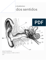 Caderno de Estudos Anatômicos: Órgãos Dos Sentidos (Parte 1 Audição e Equilíbrio)