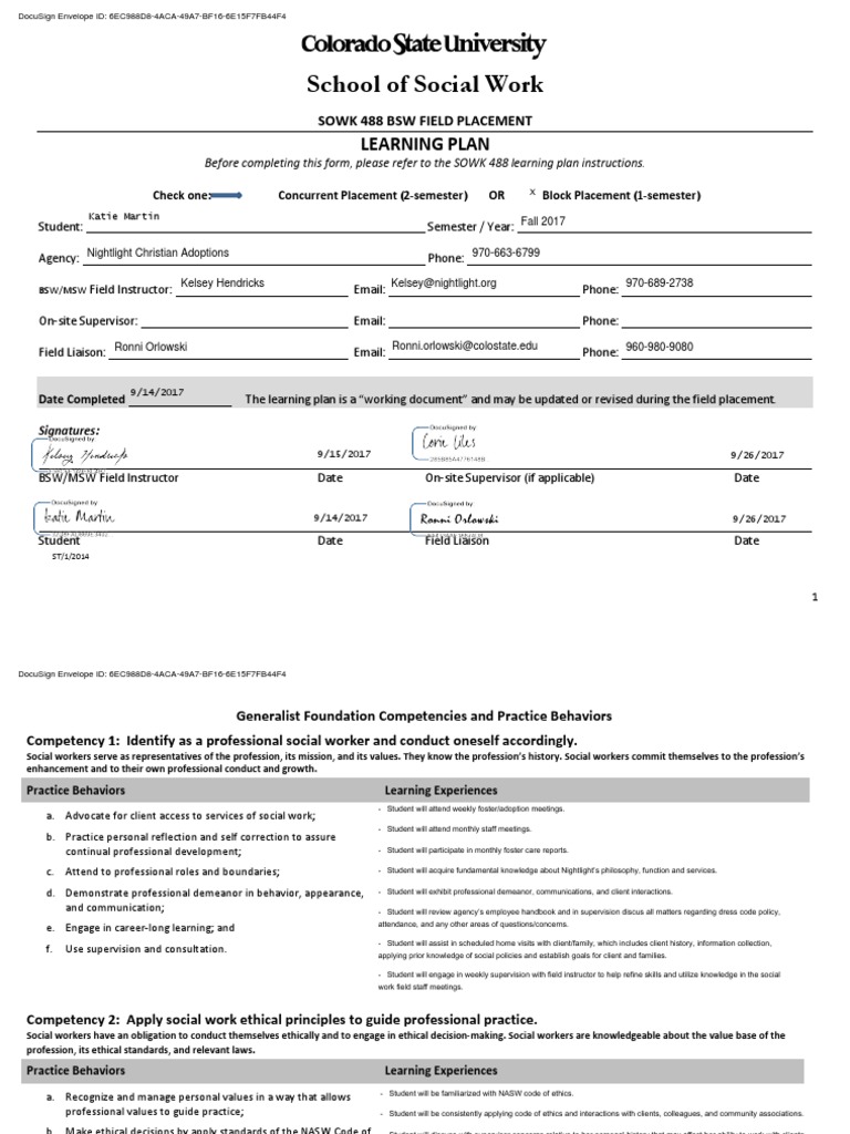 BSW Field Placement Learning Plan | PDF | Social Work | Competence ...
