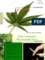 Marijuana: The Truth About