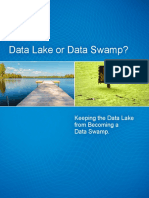 Data Lake or Data Swamp?