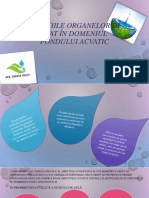 Funcțiile Organelor de Stat În Domeniul Fondului