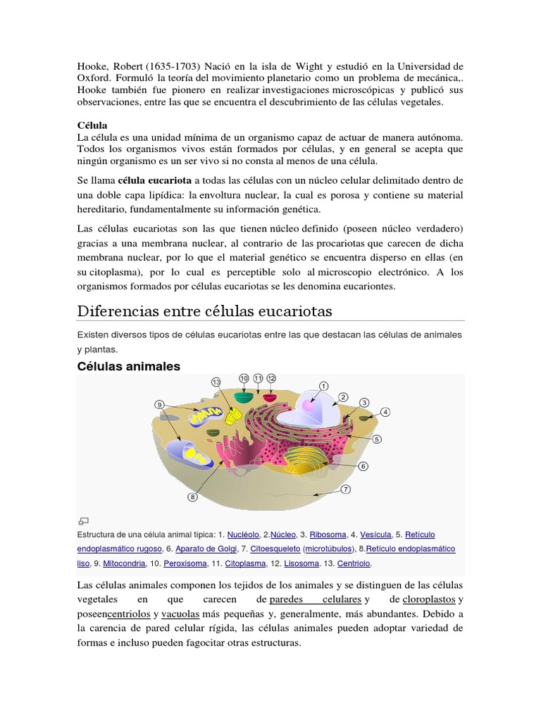 Células Vegetales: Estructura y Funciones | PDF | Eucariotas | Citoplasma