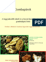 Gombaparok