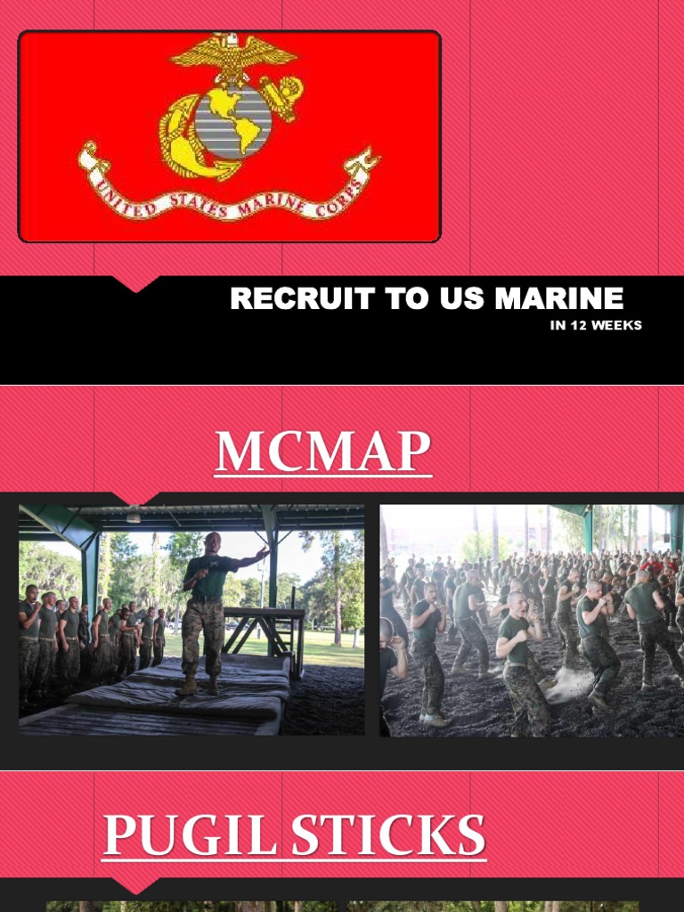 Presentation 2 | PDF