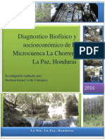 Diagnostico Biofísico y Socioeconómico de La Microcuenca La Chorrera La PazDai2.d