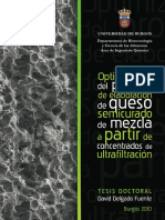 Delgado Fuente PDF