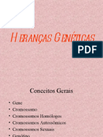 herancasgenticascromossomosconti-110321192148-phpapp02