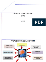 Pmi Gestion Calidad PDF
