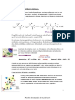 Wuolah-Free-Tema 3 Enlace Peptidico