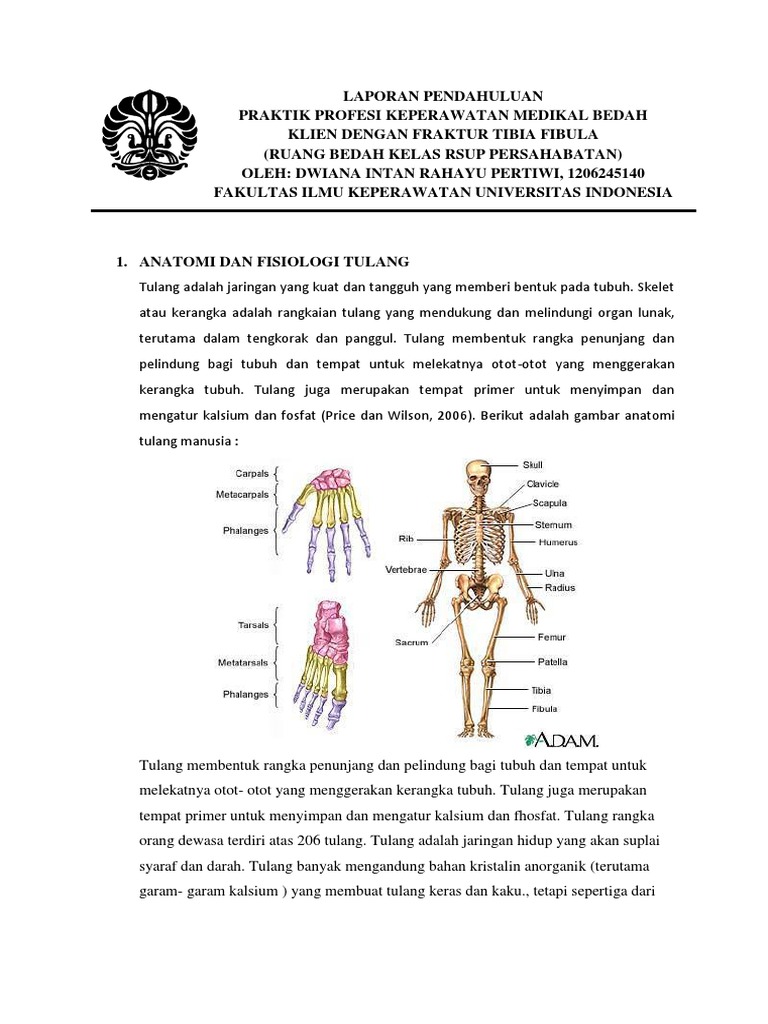 LP - Fraktur Tibia Fibula | PDF