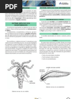 Apostila e Exercicio Gabaritado SISTEMA NERVOSO