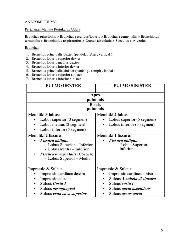 Anatomi Pulmo | PDF | Sains & Matematika