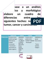 Taller #8 Neoplasias