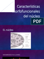 Características Morfofuncionales Del Nucleo 2