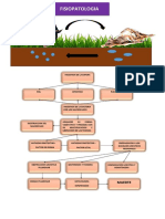 FISIOPATOLOGIA