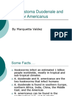 Ancylostoma Duodenale and Necator Americanus: by Marquetta Valdez