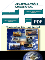 Informatica Basica ..... Comtaminacion Ambiental