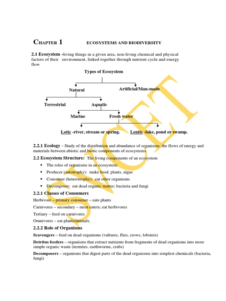 Ecosystem Structure and Functions | PDF | Food Web | Ecosystem