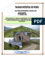 PERFIL TROCHA CARROZABLE.pdf