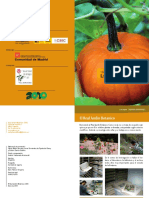 Los_Frutos.pdf