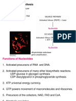 Nucleotide Biosynthesis: Functions, Pathways and Regulation