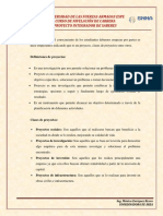 MANUAL DE PROYECTO PIS.pdf