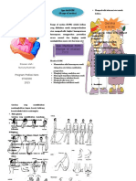 LEAFLET ROM.doc