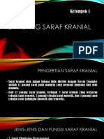 12 Pasang Saraf Kranial