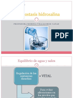 Homeostasis hidrosalina y renal (30-10).pptx