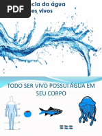 A Importância Da Água Para Os Seres Vivos