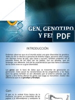Gen, Genotipo y Fenotipo